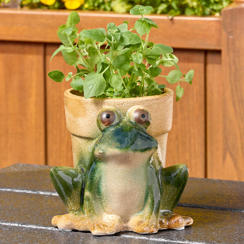 Secret Garden Stoneware Frog Pot