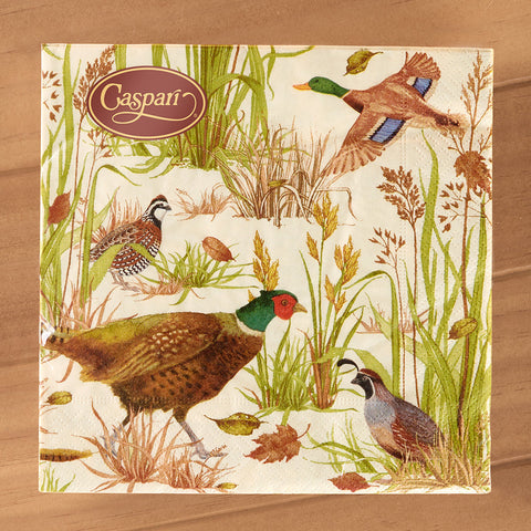 Caspari Paper Luncheon Napkins, Birds Of A Feather