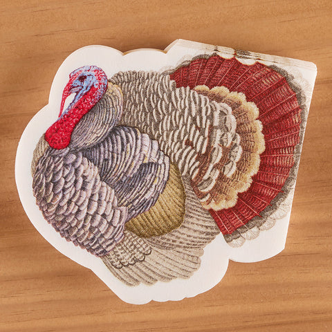 Caspari Paper Linen Napkins, Turkey