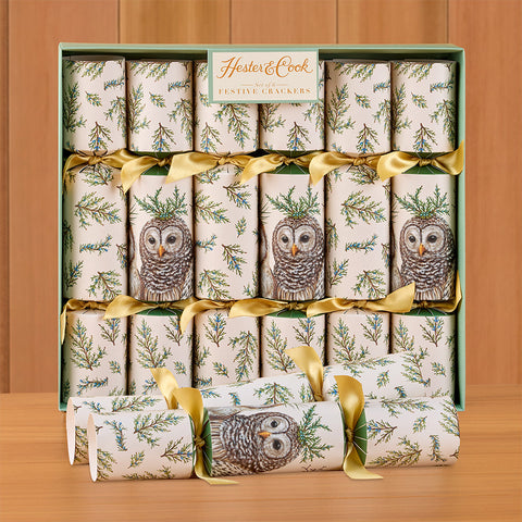 Hester & Cook Party Crackers, Winter Owls